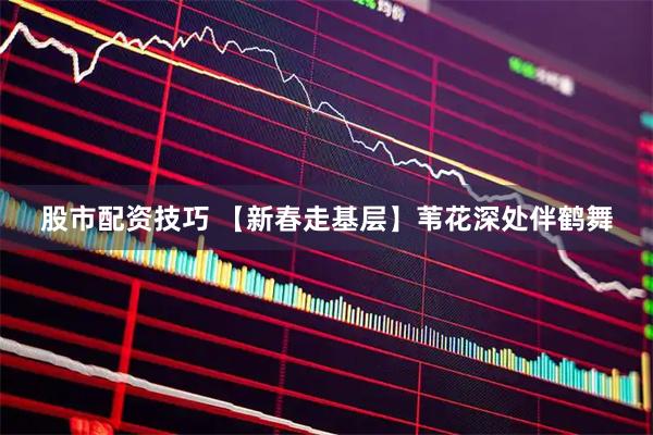 股市配资技巧 【新春走基层】苇花深处伴鹤舞